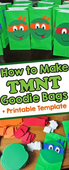 homemade teenage mutant ninja turtle goodie bags