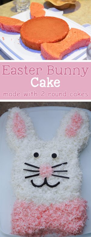 Easy Easter Bunny Cake Made with 2 Round Pans - Mommy's Fabulous Finds